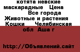 котята невские маскарадные › Цена ­ 18 000 - Все города Животные и растения » Кошки   . Челябинская обл.,Аша г.